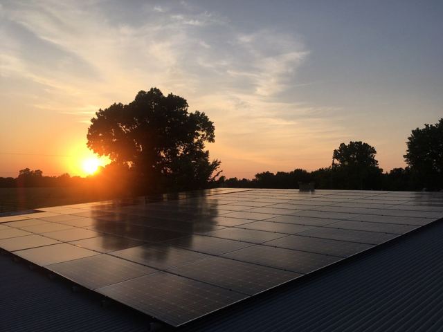 Solar panels at sunset with the sun low behind a tree line